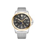 PIERRE RICAUD P60034.2117QF