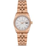 DAVID GUNER  DG-8383LA-C1