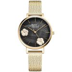 PIERRE RICAUD P22105.1117Q