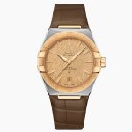 OMEGA 13123392008001