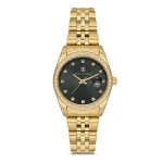 DAVID GUNER DG-8629LA-B2