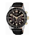 CITIZEN AN8166-05E
