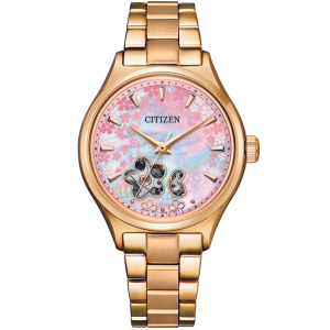 CITIZEN PC1019-66Y