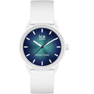 ICE 019029