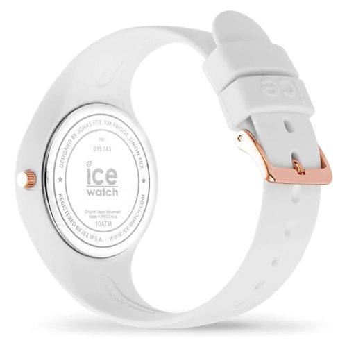 ICE 015743 - Image 2