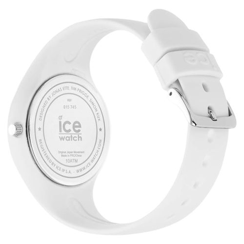 ICE 015745 - Image 2