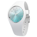 ICE 015745
