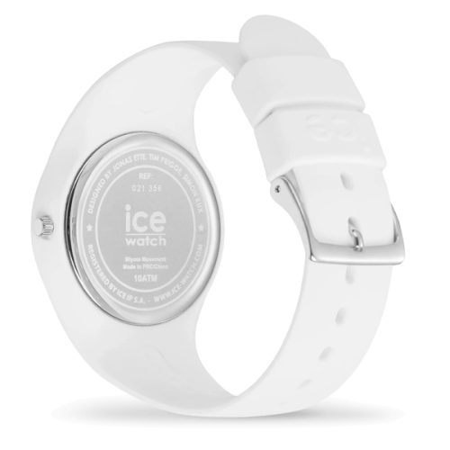 ICE 021356 - Image 2