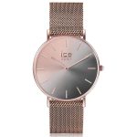 ICE 016024