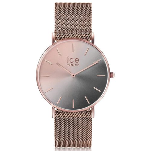 ICE 016024 - Image 1