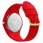 ICE 019861 - Image 2