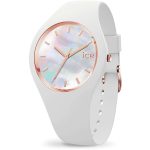 ICE 016935