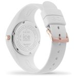 ICE 016935 - Image 2