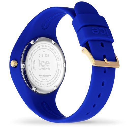 ICE 019228 - Image 2