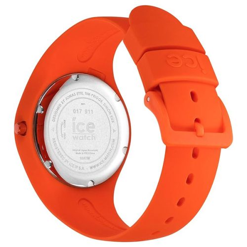 ICE 017911 - Image 2