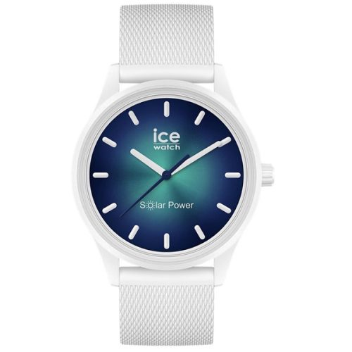 ICE 019028 - Image 1