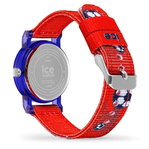 ICE 024502 - Image 2
