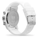 ICE 025631 - Image 2