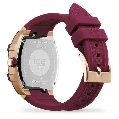 ICE 023806 - Image 2