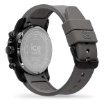 ICE 025629 - Image 2