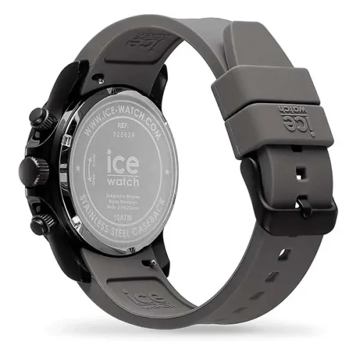 ICE 025629 - Image 2
