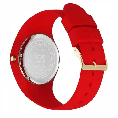 ICE 021080 - Image 2